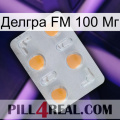 Делгра FM 100 Мг 24